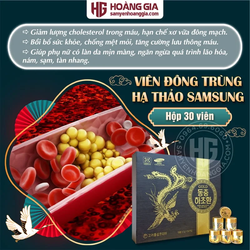 VIÊN ĐÔNG TRÙNG HẠ THẢO