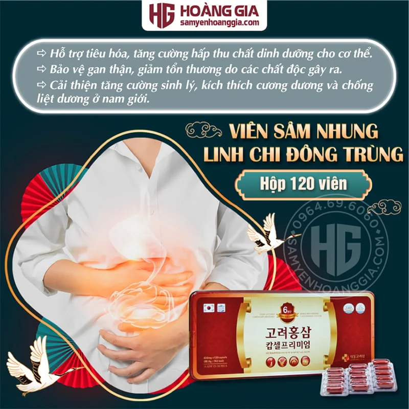 VIÊN ĐÔNG TRÙNG HẠ THẢO