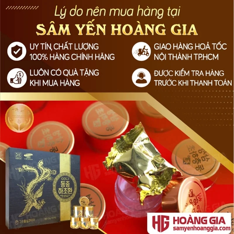 VIÊN ĐÔNG TRÙNG HẠ THẢO