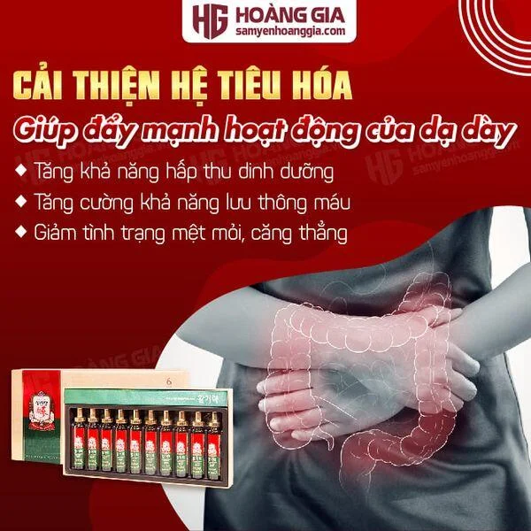 c_hong_sam_han_quoc_kgc_vital_tonic_hop_10_ong_x_20ml_8809535593450-02_7c1d0cbdc3c54765a623d960c84daebd_grande