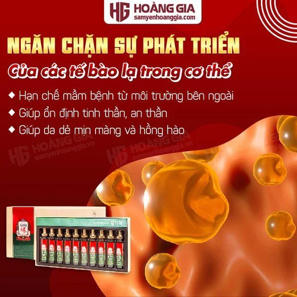 c_hong_sam_han_quoc_kgc_vital_tonic_hop_10_ong_x_20ml_8809535593450-03_107c8ff8950443368982cfc2171d55d2_grande
