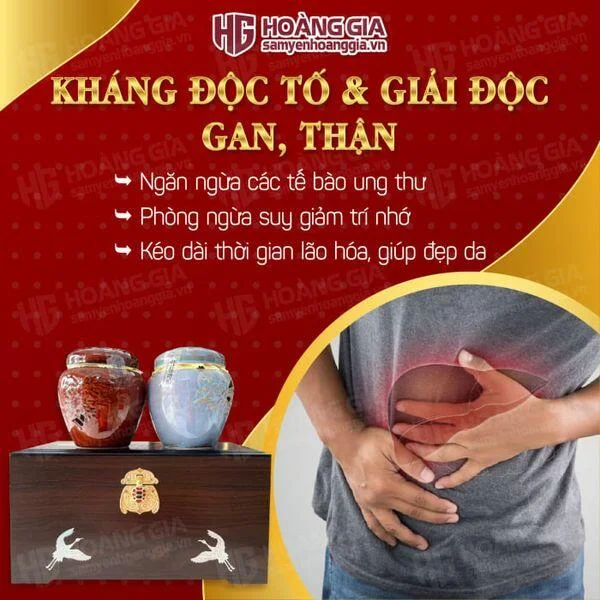 cao-hong-sam-linh-chi-achimmadang-03png_ed0336333c53489fb403588de0d2f591_grande