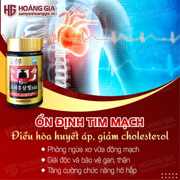 cao_hong_sam_365_hop_1_lo-02_6ee1041beab346ef810953a2e758bf0f_grande