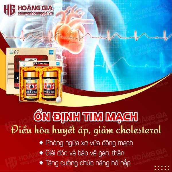 cao_hong_sam_365_hop_2lo-02_d59700aa87f8436991e092e264424feb_grande