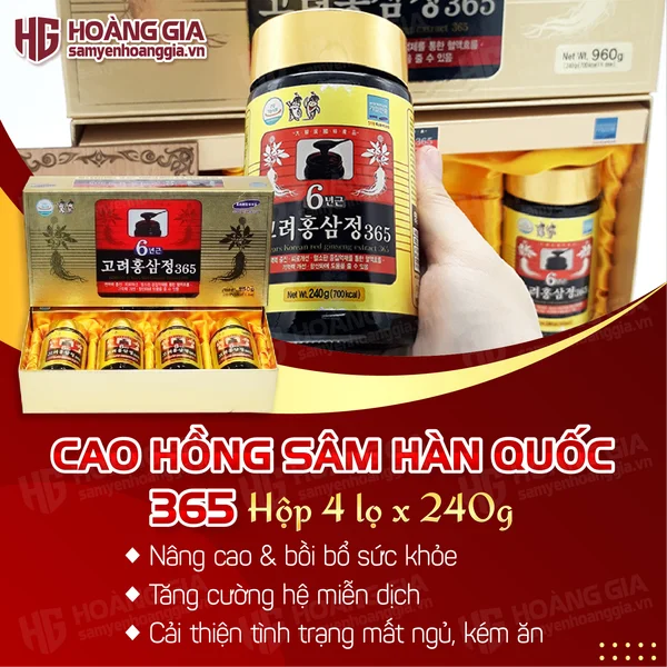 cao_hong_sam_365_hop_4_lo-01_dde28876611a42c19107197f6a63f76e_grande