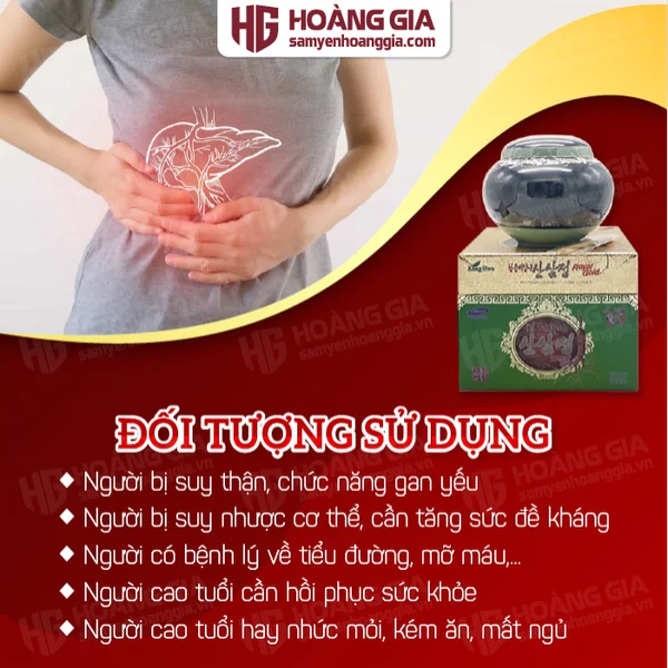 cao_sam_nui_han_quoc_kanghwa_hu_1_kg_sam_yen_hoang_gia-04_e113832d14e1489cbdc71775232078ef_grande