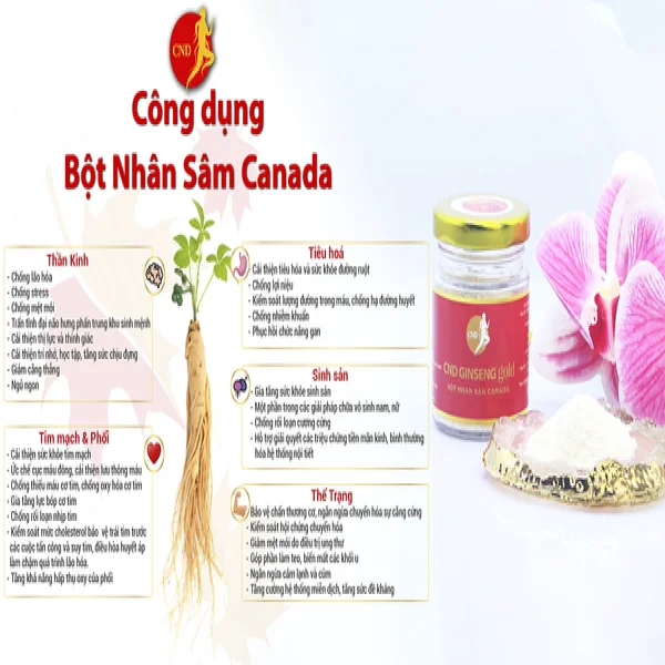 cong-dung-bot-nhan-sam_8fddb0e3fc8b45b4ad4814ae6aee6510_grande