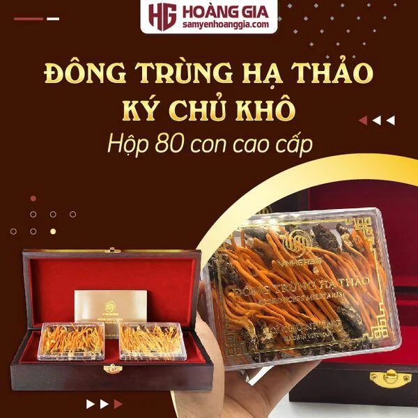 dong_trung_ha_thao_ky_chu_nhong_thuong_hang_hop_go_80_con-01_8e0c98c3a370475a95e6f284dc2ed216_grande