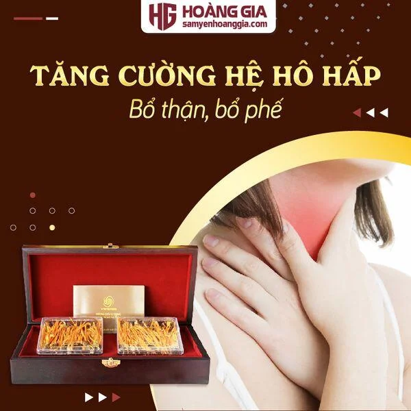 dong_trung_ha_thao_ky_chu_nhong_thuong_hang_hop_go_80_con-02_5fda53919dc74b5f9875854d880614d6_grande