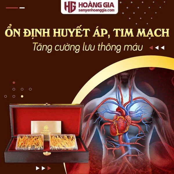 dong_trung_ha_thao_ky_chu_nhong_thuong_hang_hop_go_80_con-03_3fffaae746794555ba7070bd43884fbc_grande