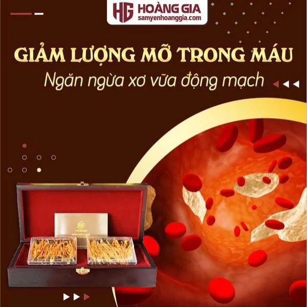 dong_trung_ha_thao_ky_chu_nhong_thuong_hang_hop_go_80_con-04_5915bf198a5b42c0b786a9bbe9c85914_grande