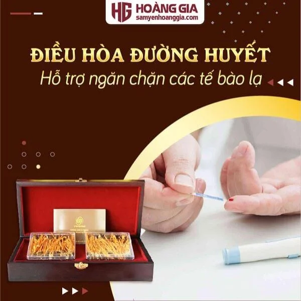 dong_trung_ha_thao_ky_chu_nhong_thuong_hang_hop_go_80_con-05_1606502ad9cf4e359741b454569268a7_grande