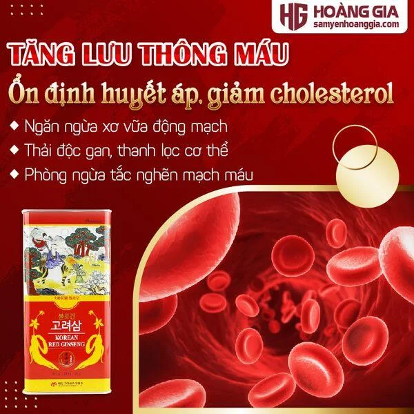 hong_sam_cu_kho_daedong_premium_37