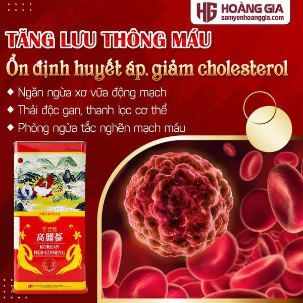 hong_sam_cu_kho_daedong_premium_600g-02_b0f79320cccf44e2b480b4dec0947048_grande