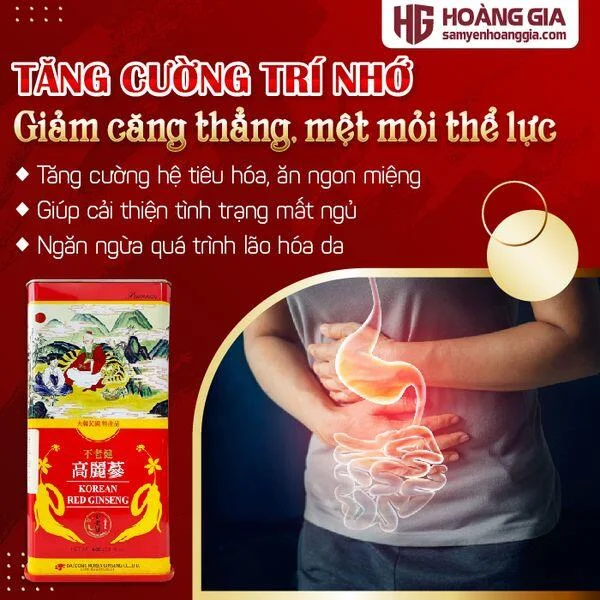 hong_sam_cu_kho_daedong_premium_600g-03_67abcea5621f480ea78f0d66e49ccb19_grande
