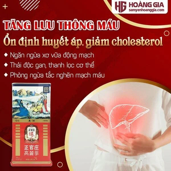 hong_sam_cu_kho_kgc_300g-2-02_d849d6074f0e4f3ea6ff0627df137d56_grande