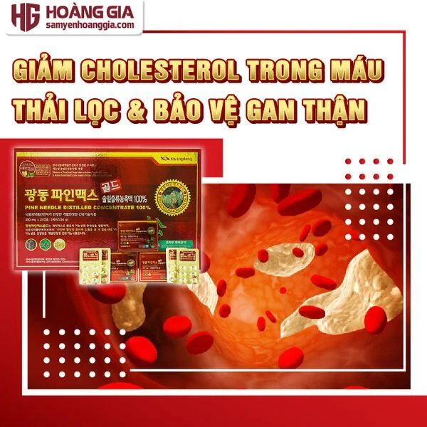 kwangdong_120_vien-02_5785990db44a48dcb523bc18cdb9d69e_grande