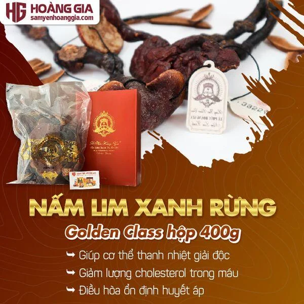 nam_lim_xanh_rung_le_phuc_hoang_gia_golden_class_hop_400gr-01_b36a920c499743bfa57caaf0b1691a1e_grande