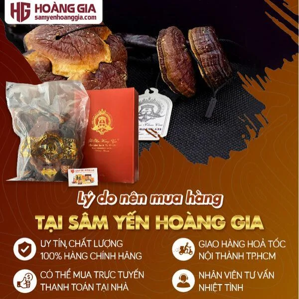 nam_lim_xanh_rung_le_phuc_hoang_gia_golden_class_hop_400gr-05_5e16a346c51e4eb6a2c24ef339f9c59e_grande
