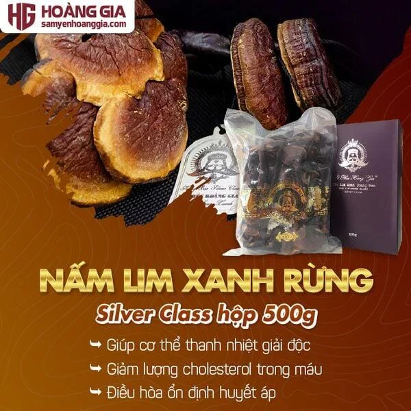 nam_lim_xanh_rung_le_phuc_hoang_gia_silver_class_hop_500gr-01_b500be7abace429680a56278b331f151_grande