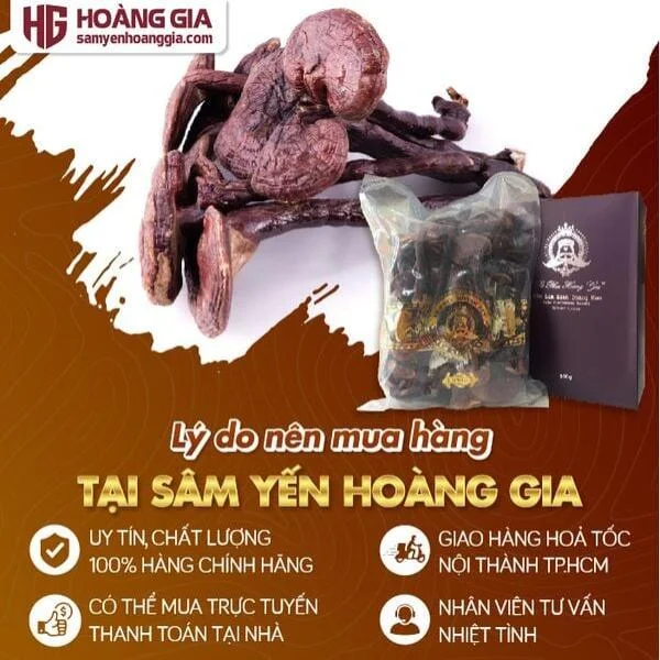nam_lim_xanh_rung_le_phuc_hoang_gia_silver_class_hop_500gr-05_15824f93cf514ebf905f9f7bc6e5147e_grande