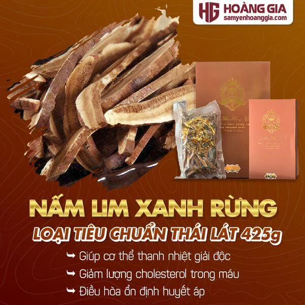 nam_lim_xanh_rung_quang_nam_cat_lat_hop_425gr_sieu_tiet_kiem-01_79fb26504dac489792fa396a4aa6df23_grande