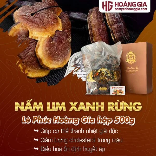 nam_lim_xanh_rung_quang_nam_hop_500g_loai_phong_benh-01_39739ab0ed57482baf28ad7e7a916ff3_grande