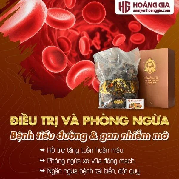 nam_lim_xanh_rung_quang_nam_hop_500g_loai_phong_benh-02_36e9ecf5bc464b4f9e20f7b1fcf16780_grande