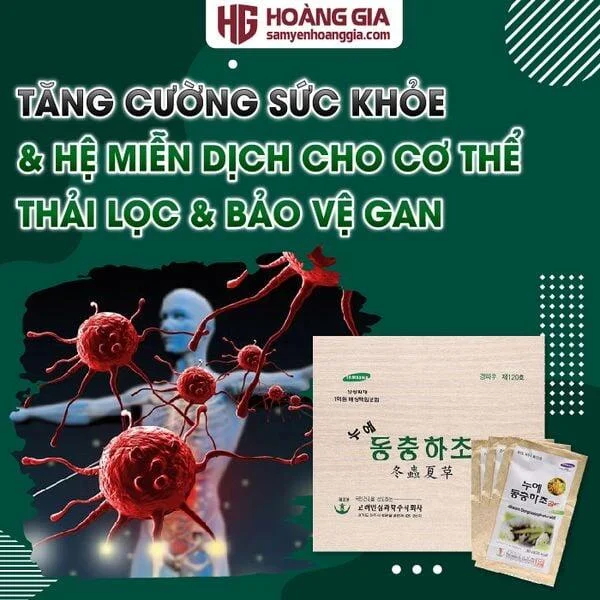 nuoc_dong_trung_ha_thao_han_quoc_bio-science_hop_go_60_goi-02_8c2ed7301f6344c0a0cd5aaf6a8d21c7_grande