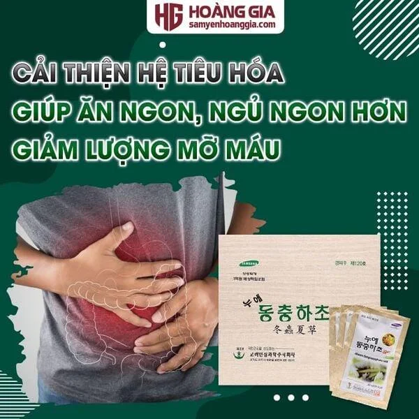 nuoc_dong_trung_ha_thao_han_quoc_bio-science_hop_go_60_goi-03_d1b470dc76d84d36aaf57827671c729d_grande