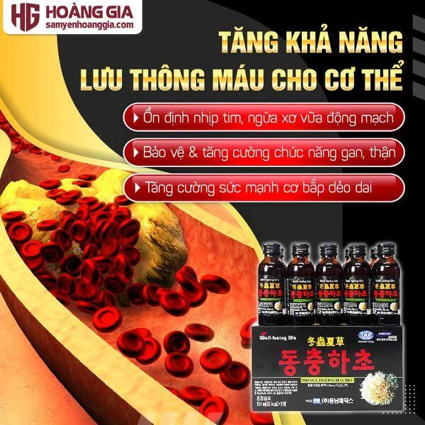 nuoc_dong_trung_ha_thao_han_quoc_hop_10_chai-02_a053828afe324440900f42491fb9e6a2_grande