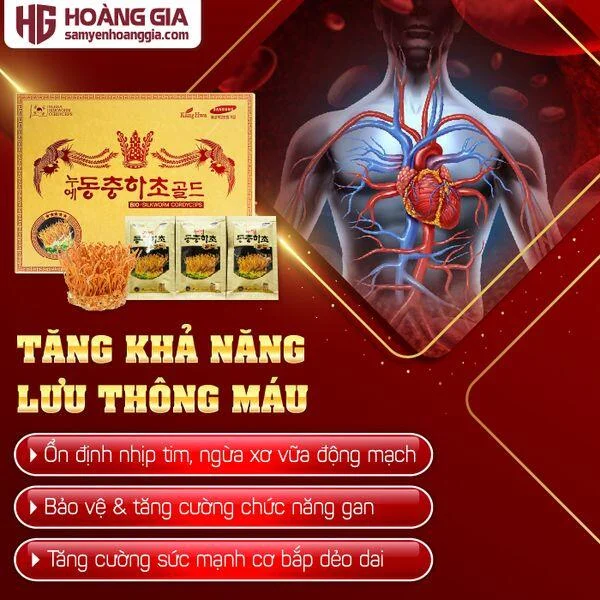 nuoc_dong_trung_ha_thao_han_quoc_hop_go_rua_vang_60_goi-02_3e33a9d4db39457c9b6eb411f2ab96cc_grande