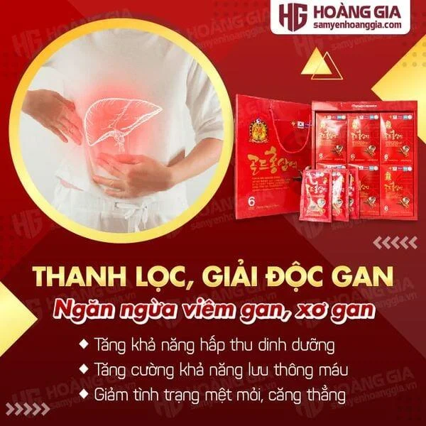 nuoc_hong_sam_daeyoung_korean_red_ginseng_drink_8805892013082-02_36caf4ebbaac4ea5ad42794712dea8d0_grande