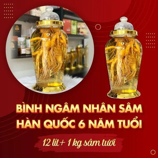 ruou_sam_tuoi_han_quoc_6_nam_tuoi_12_lit_7_cu-01_63e3219b91f34d45bc1ae394fa4f2f48_grande