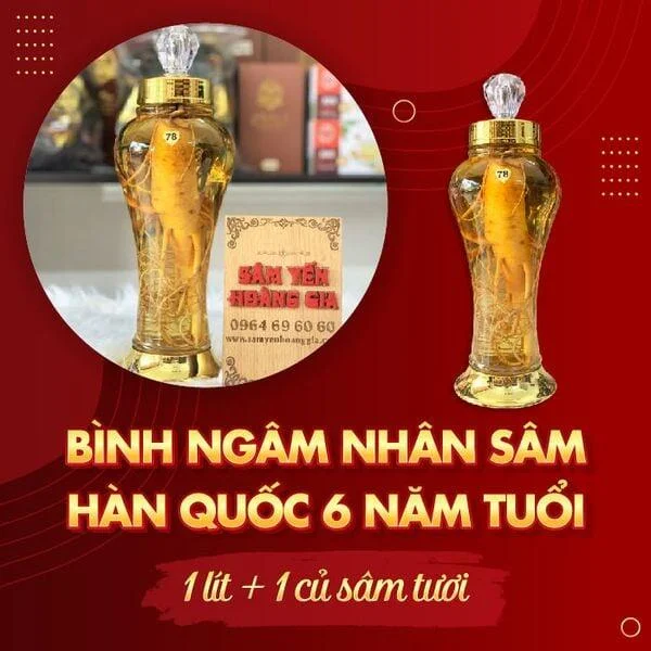 ruou_sam_tuoi_han_quoc_6_nam_tuoi_1_lit_1_cu-01_e96f004f670a472b8da8e5a1e02cec43_grande