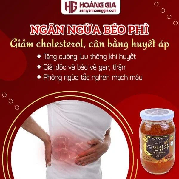sam_tuoi_han_quoc_ngam_mat_ong_bio_apgold_lo_580g-02_494fc86b2f014318aa322297e6a39fa9_grande