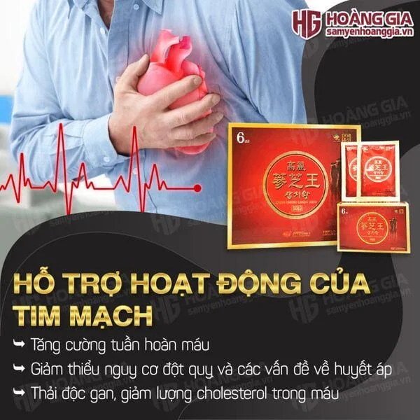 tinh-chat-hong-sam-linh-chi-kgs-03png_e856cc7bb8794b649718b720003de330_grande