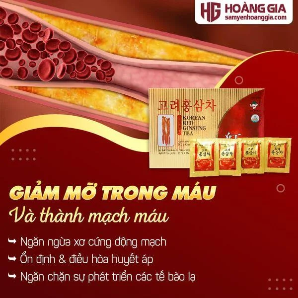 tra_hong_sam_cao_cap_kgs-03_42f2e1eaa9e2421fa601abcdb5052104_grande