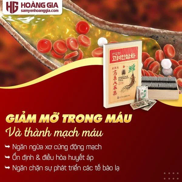 tra_nhan_sam_100_goi-03_f659ba8abe9a410fa1fb3d9c759ef50b_grande