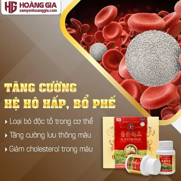 vien_dong_trung_ha_thao_han_quoc_100__120_vien-02_d3b46fb5b57741d38fd0847fa80796f5_grande
