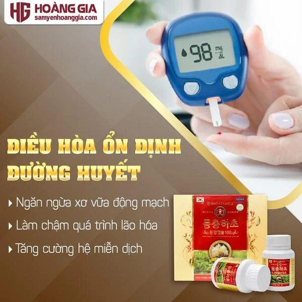 vien_dong_trung_ha_thao_han_quoc_100__120_vien-03_55b646c3f42547a08fdd6f78a16edc0a_grande