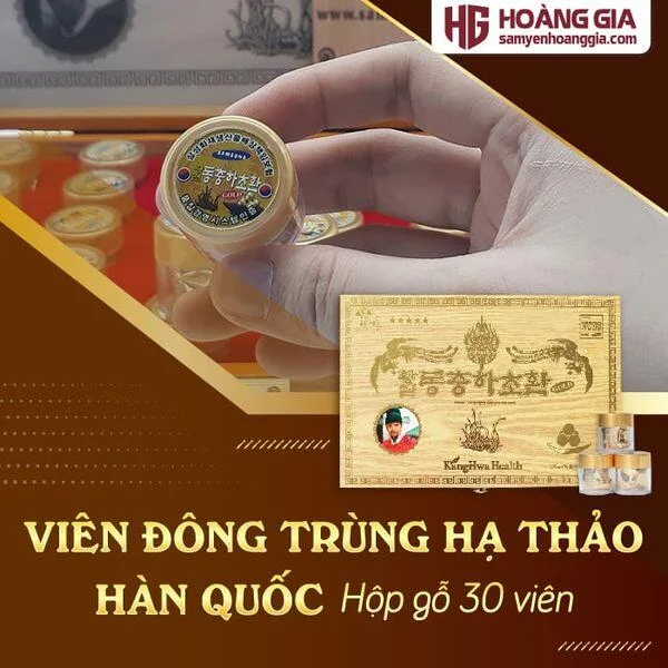 vien_dong_trung_ha_thao_han_quoc_hop_go_vang_30_vien-01_7ad956120537468fac2ea9c0e2050759_grande