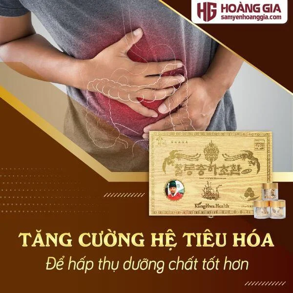 vien_dong_trung_ha_thao_han_quoc_hop_go_vang_30_vien-02_cb8ef0e46bf544a8a78b46e46cb64a66_grande