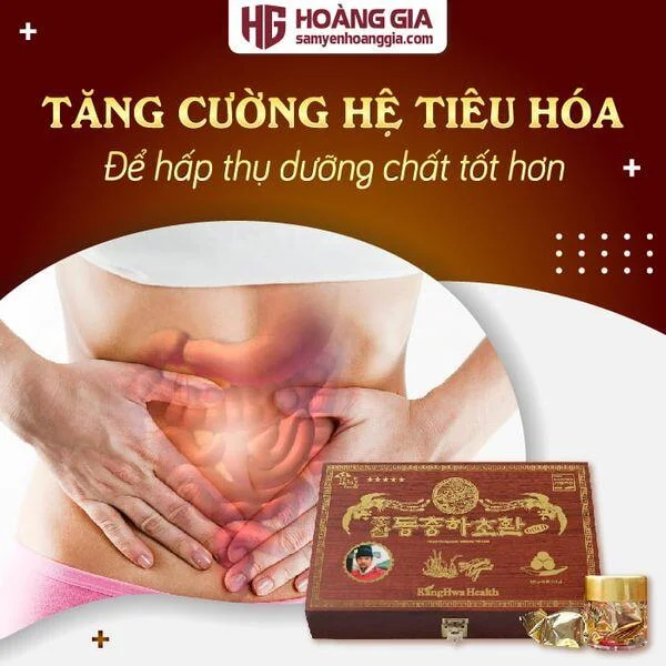vien_dong_trung_ha_thao_nhan_sam_han_quoc_30_vien_hoan-02_b649a77eab7d4d7698e4a5931721e845_grande