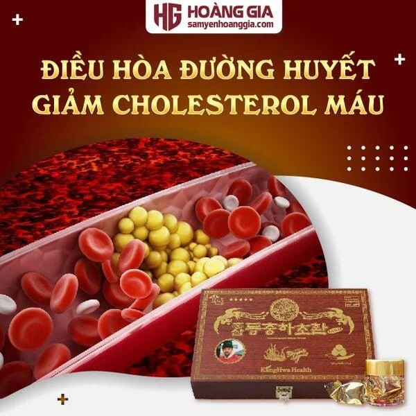 vien_dong_trung_ha_thao_nhan_sam_han_quoc_30_vien_hoan-03_095b7586164c4a52a2f77d7982e36a4a_grande