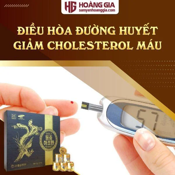 vien_dong_trung_ha_thao_phuong_hoang_hop_go_30_vien_hoan-03_3c5eefd11a29477bb906137217c251b9_grande