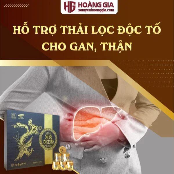 vien_dong_trung_ha_thao_phuong_hoang_hop_go_30_vien_hoan-04_c490541eac5847b8a244d139ddc7c4ba_grande