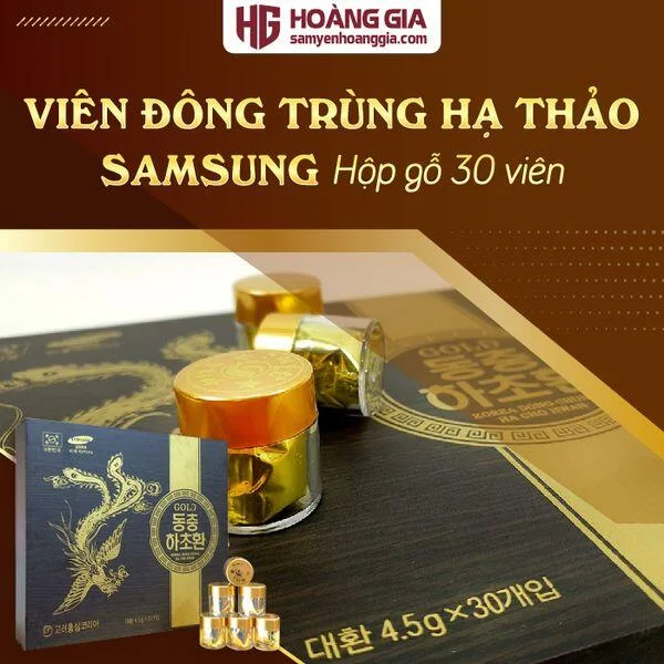 vien_dong_trung_ha_thao_phuong_hoang_hop_go_30_vien_hoan_1_846161d62aae4fd594ccebb1ee2c117c_grande