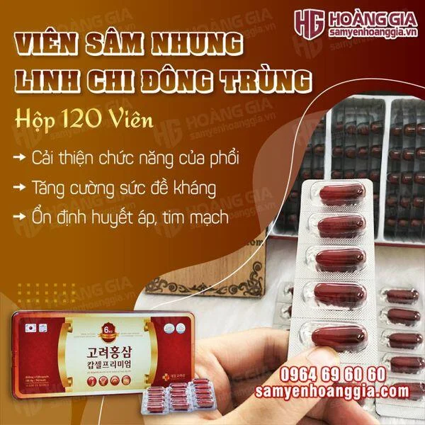 vien_sam_nhung_linh_chi_dong_trung_hop_120_vien_1_f7400ef1548240cea1a54ce669ecb337_grande
