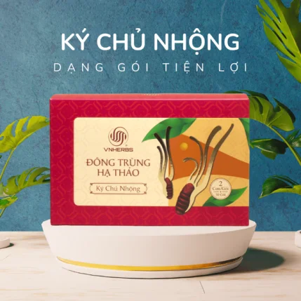 dong_trung_ha_thao_vnherb_af0e3ce2dee64dc5a04a6d37eaaeb624_grande